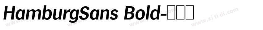 HamburgSans Bold字体转换